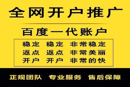 行业领先企业的SEM广告策略与效果分析
